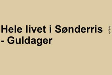 SDU Rapport: Hele livet i Sønderris - Guldager