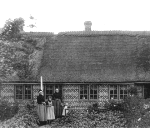 Eksempel på tofarvede vinduer med mørk karm og lodpost samt lysere ramme og sprosser (Mandø Byvej 21).