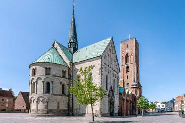 Billede af Ribe domkirke